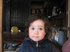 Maja2