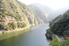 jap2010