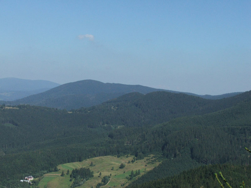 DSCF3907