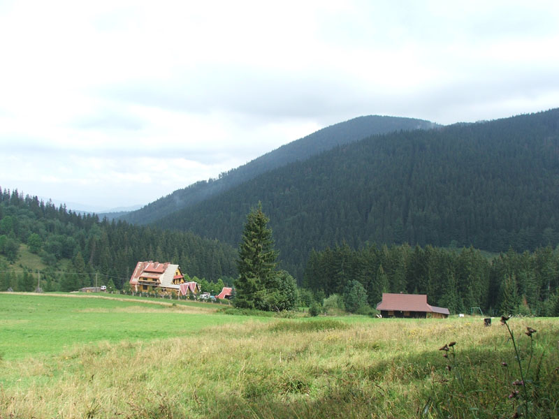 DSCF3947